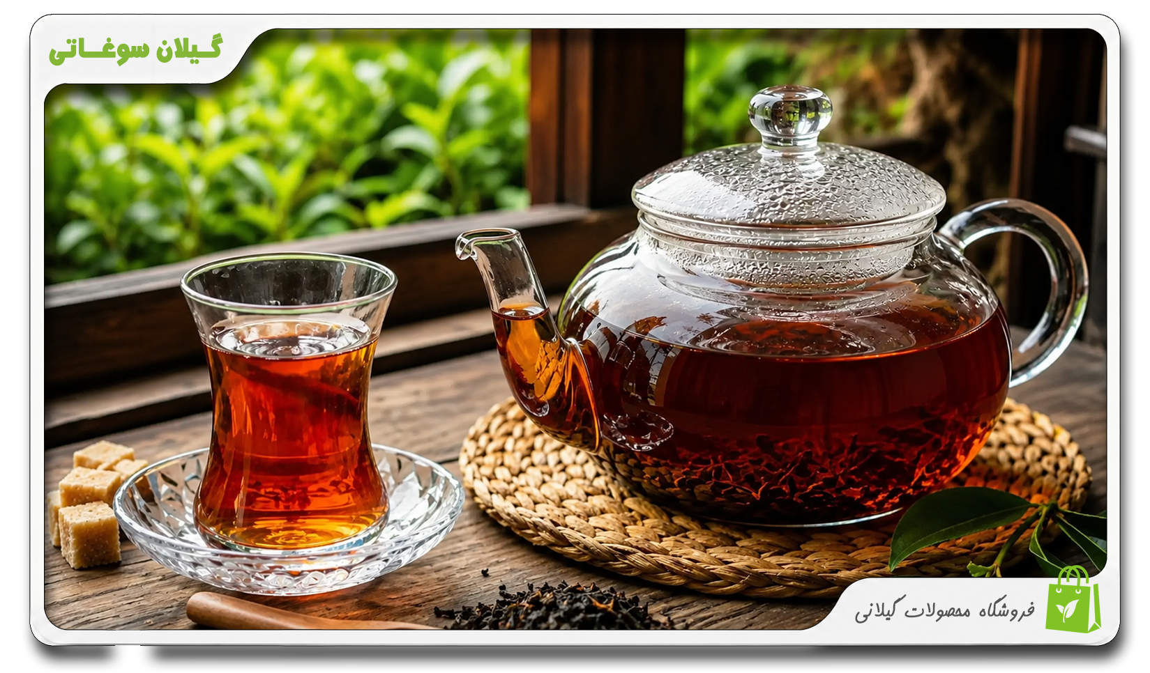 مقایسه چای سبز و چای سیاه؛ کدام انتخاب سالم‌تر است؟ | iranian tea | چای ایرانی| چای لاهیجان | گیلان سوغاتی