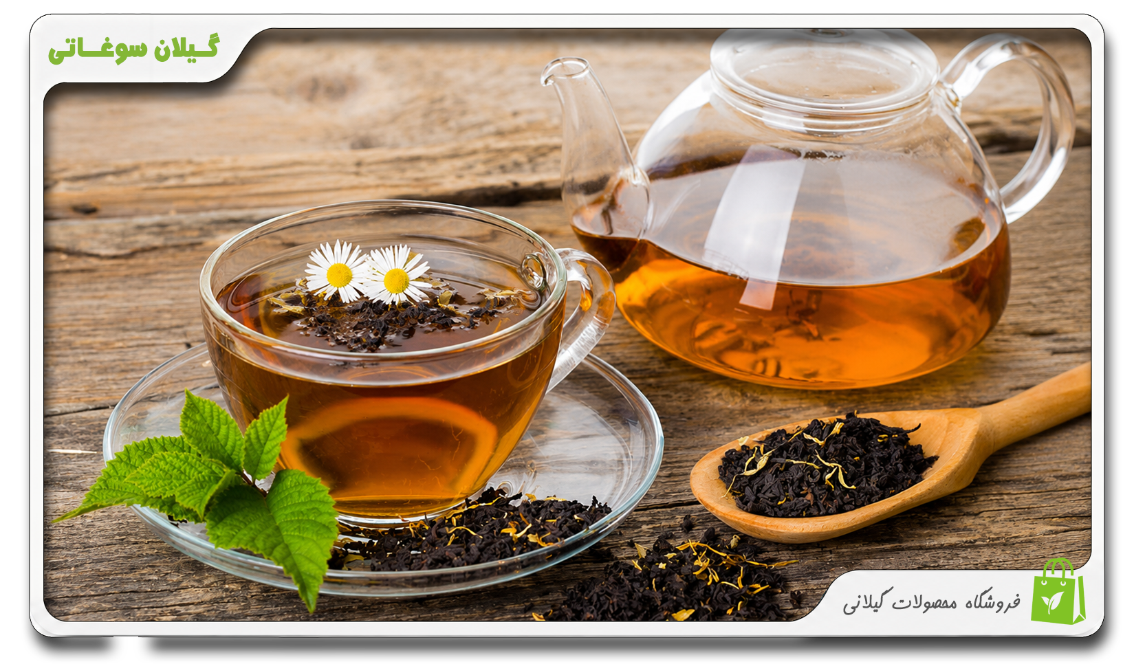 مقایسه چای سبز و چای سیاه؛ کدام انتخاب سالم‌تر است؟ | iranian tea | چای ایرانی| چای لاهیجان | گیلان سوغاتی