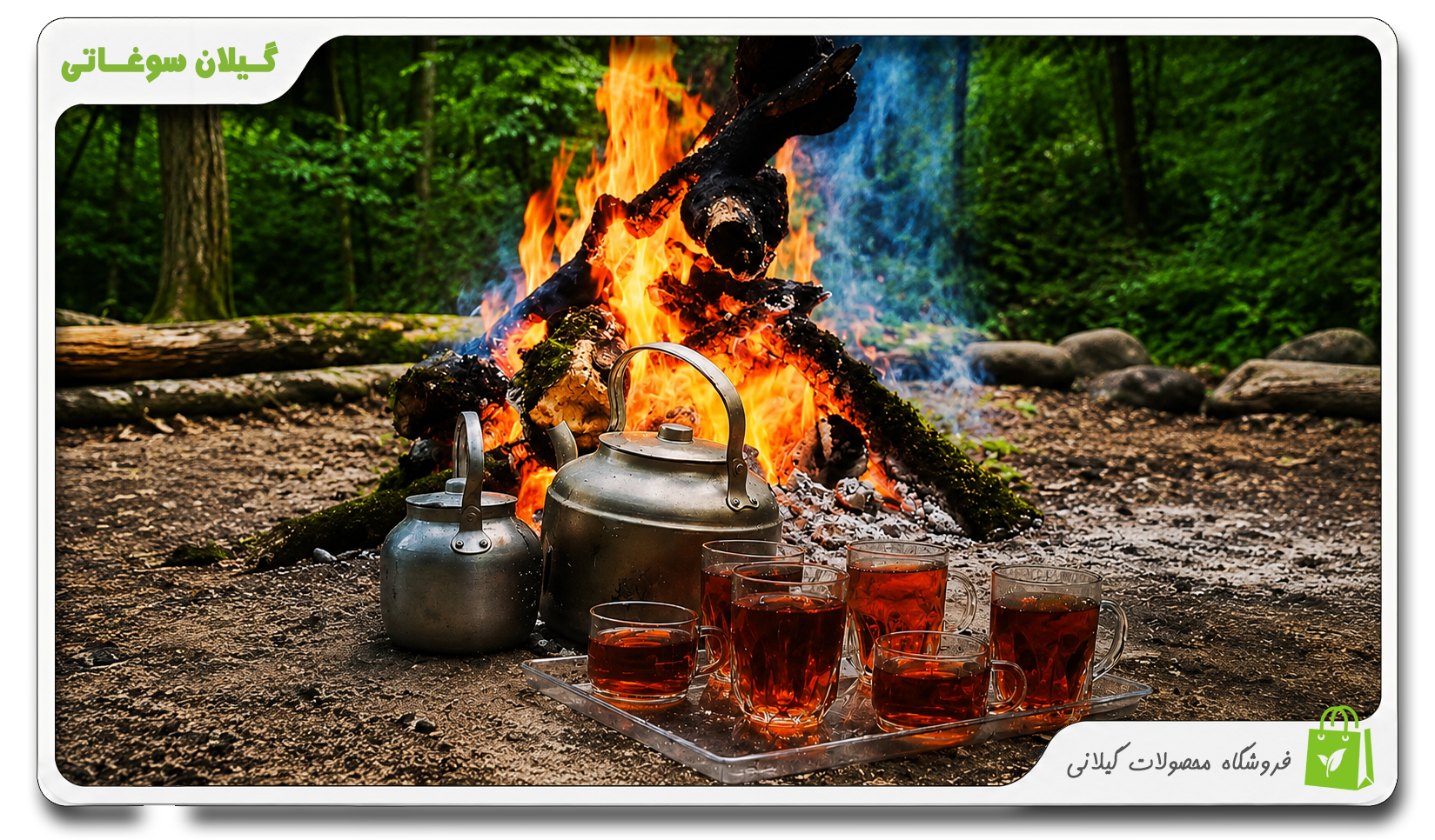 مقایسه چای سبز و چای سیاه؛ کدام انتخاب سالم‌تر است؟ | iranian tea | چای ایرانی| چای لاهیجان | گیلان سوغاتی