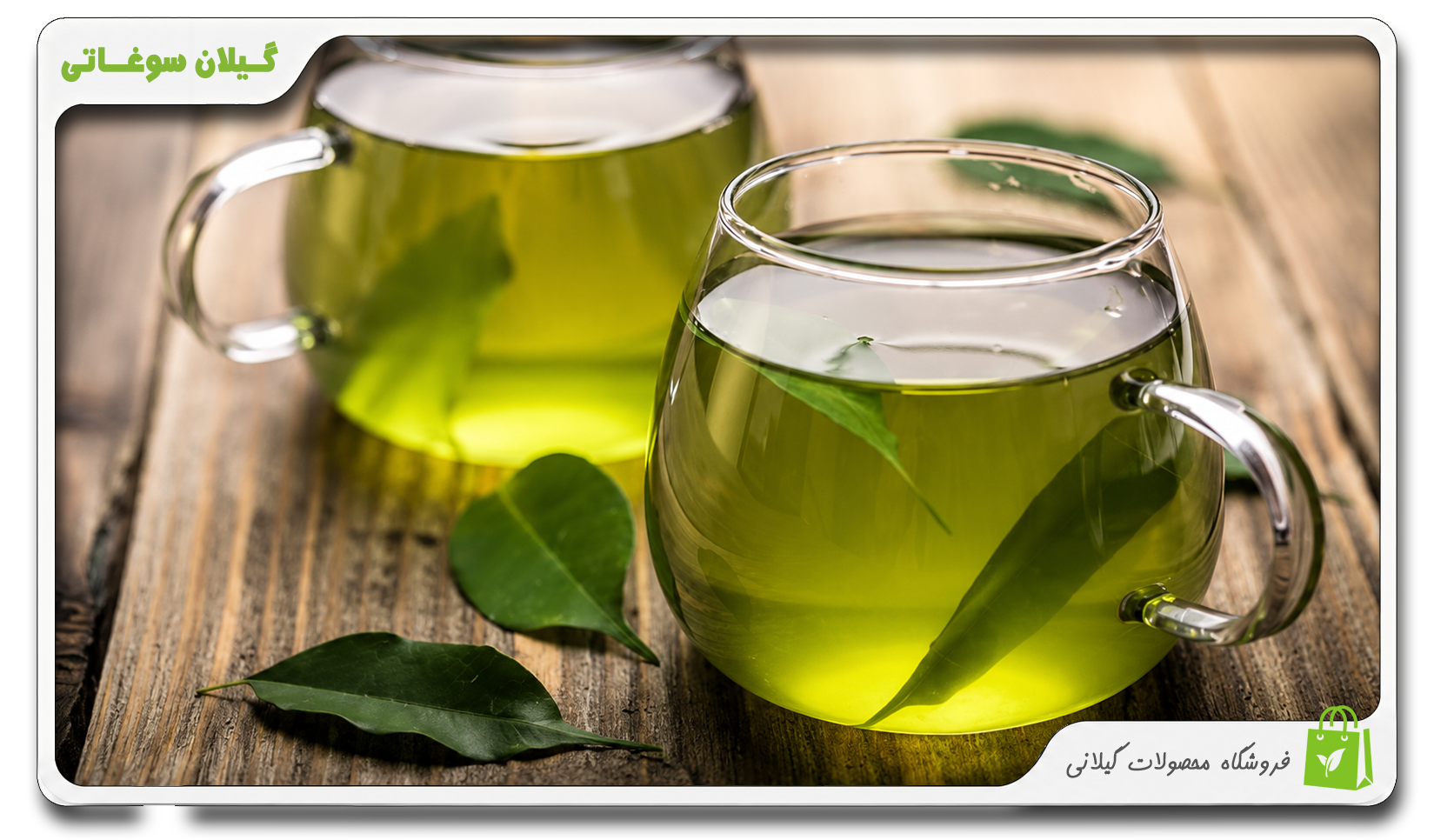 مقایسه چای سبز و چای سیاه؛ کدام انتخاب سالم‌تر است؟ | iranian tea | چای ایرانی| چای لاهیجان | گیلان سوغاتی
