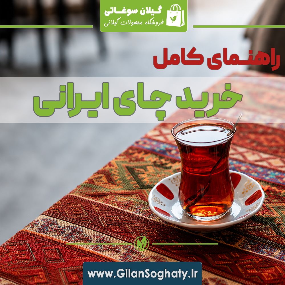 چای ایرانی اصل؛ راهنمای کامل خرید، تشخیص کیفیت و خواص چای ایرانی